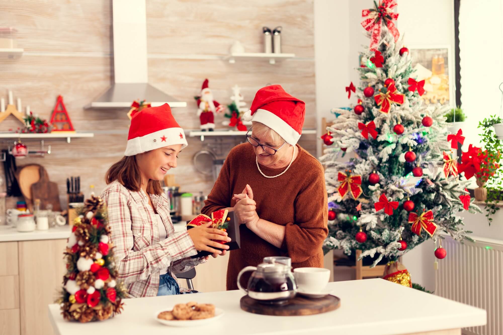 Cheerful granny and niece enjoing christmas