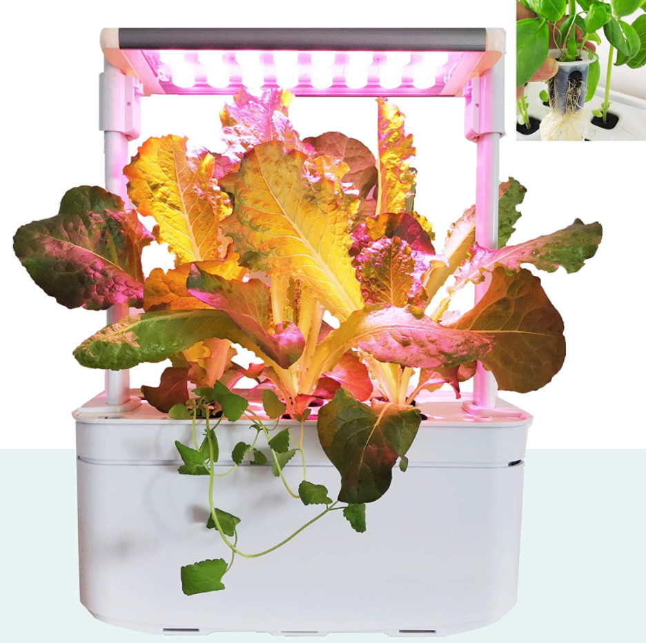 Hydroponics Growing System Indoor Herb Garden Starter Kit